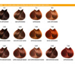 Farmavita Life Color Plus 1.10 Μαύρο Μπλε