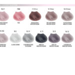 Farmavita Life Color Plus 1.10 Μαύρο Μπλε