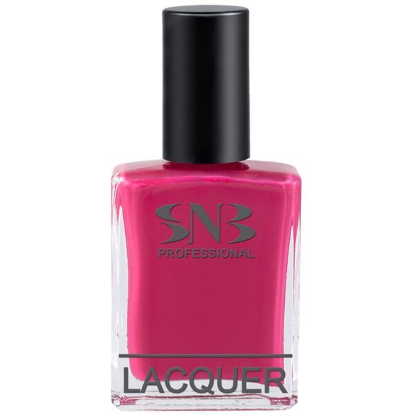 SNB Nail Lacquer 15ml #NLT13