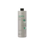 Alter Ego Chromego Silver Maintan Conditioner Μαλακτική 950ml