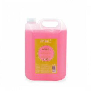 Alter Ego Chromego Silver Maintan Shampoo Σαμπουάν 950ml